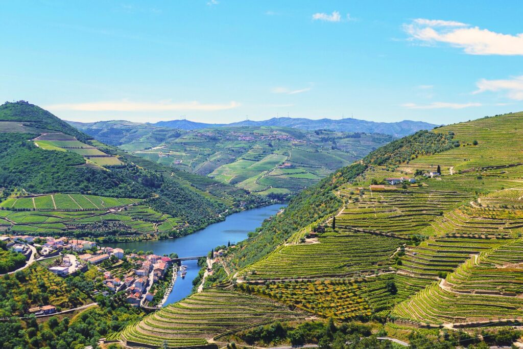 Douro Valley Wine Region