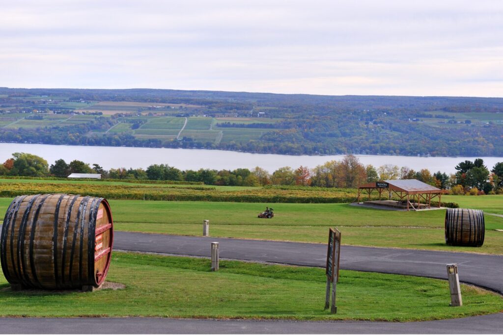 Wine of the Finger Lakes, New York