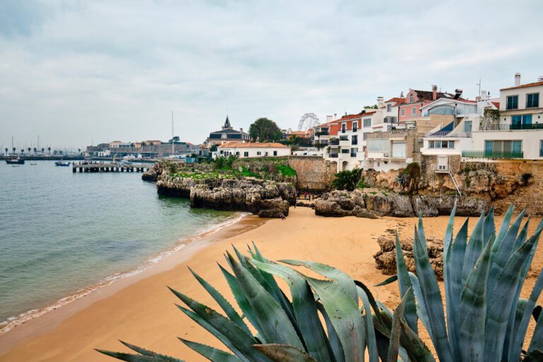 Portugal in Winter: A Detailed Guide for the Perfect Holiday