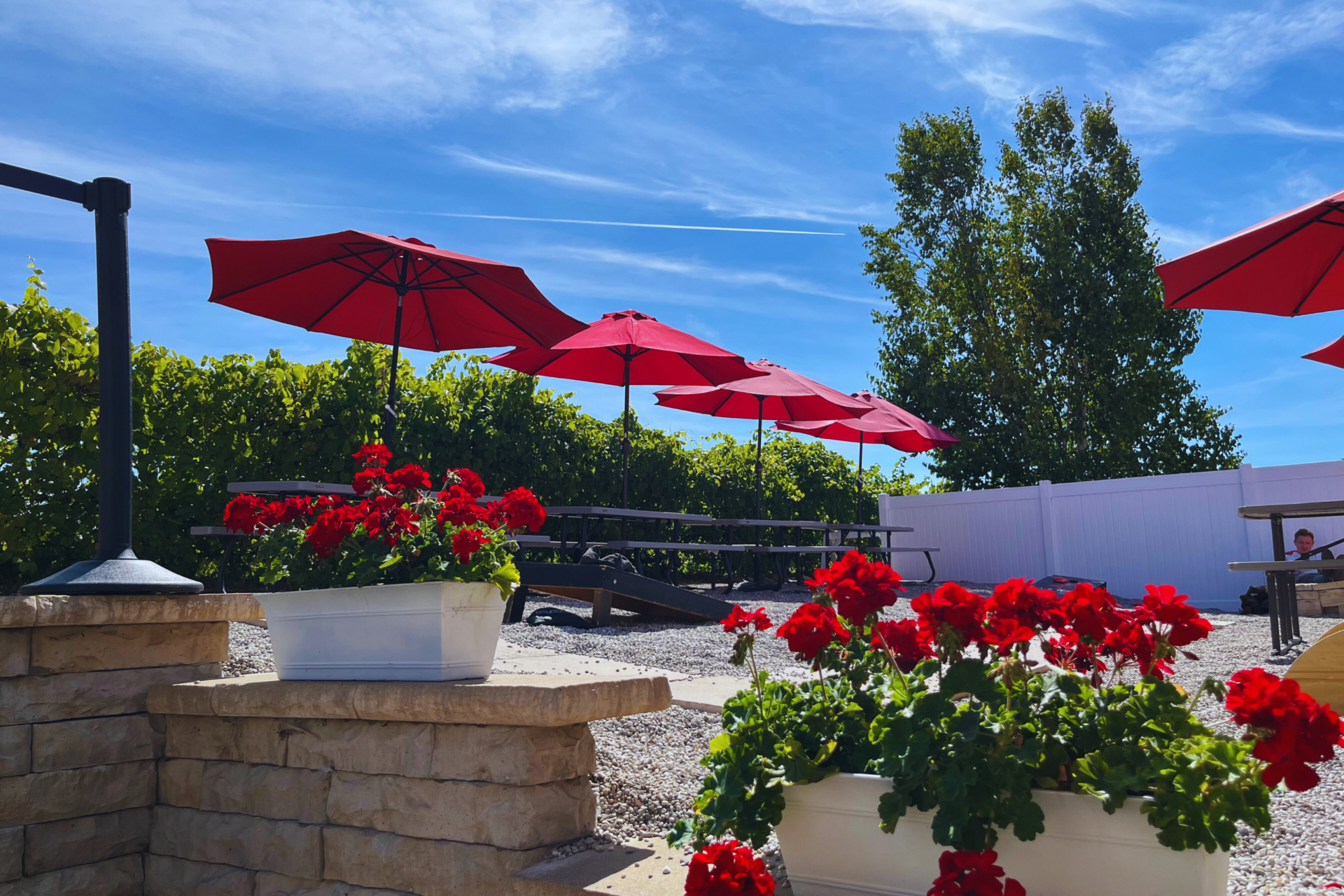 Patio with red flowers during one weekend in Traverse City, Michigan. 