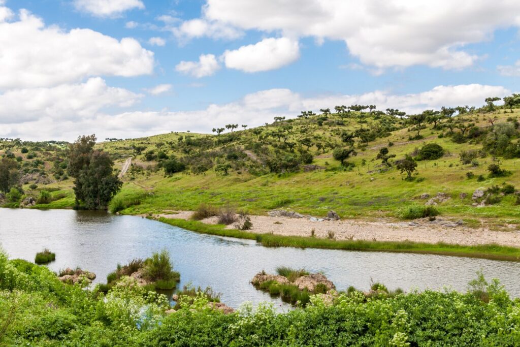 Underrated Wine Destinations in Europe- Alentejo, Portugal