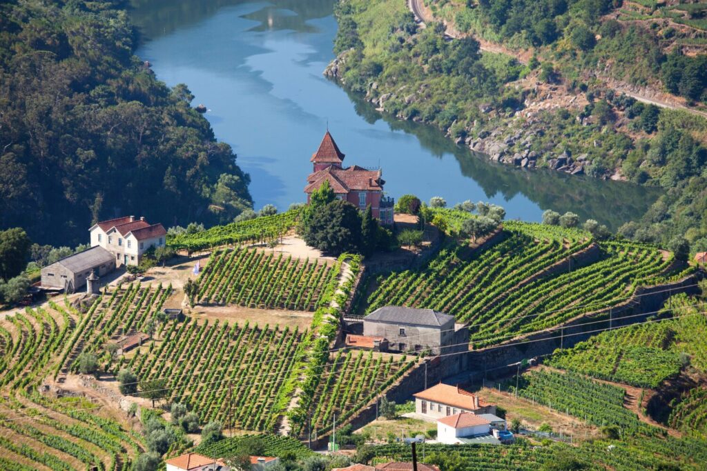 Underrated Wine Destinations in Europe- Douro Valley