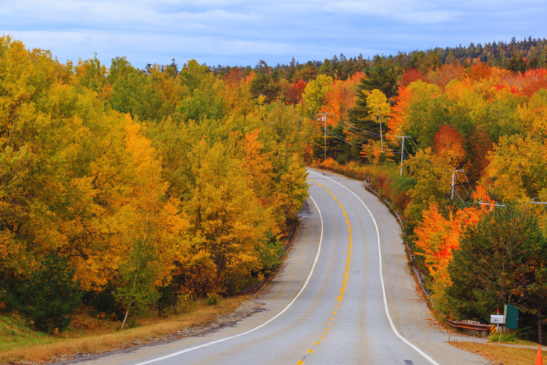 13+ Unforgettable Road Trips from Boston to Take This Year