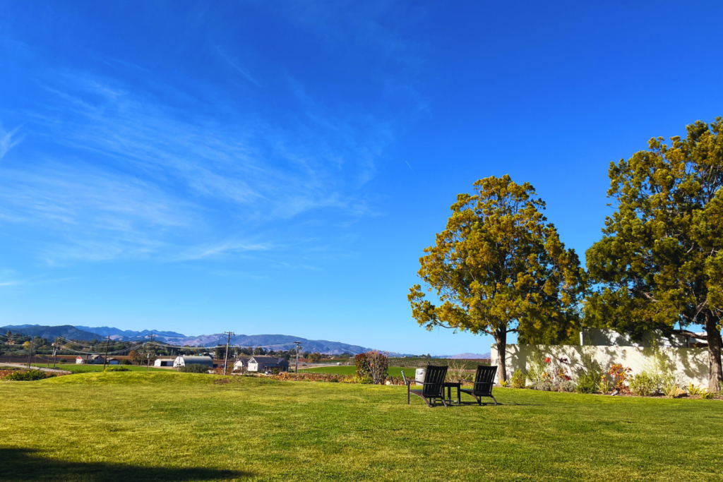 View from Edna Valley winery in San Luis Obispo