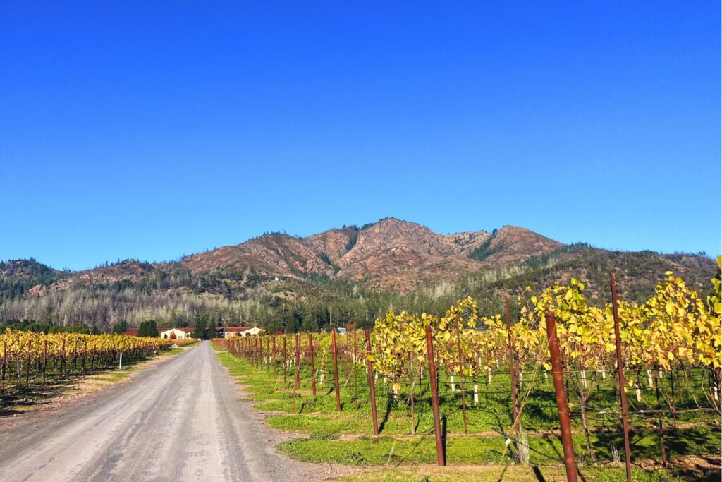 wine tasting in Sonoma