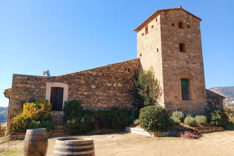 7 Unforgettable Wineries Near Barcelona to Visit in 2024