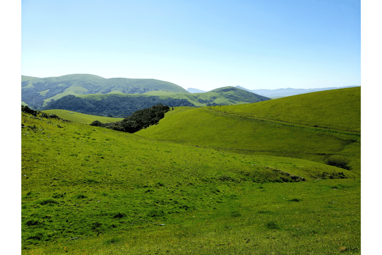 The Best Scenic Hikes in San Luis Obispo (That You Don’t Want to Miss!)