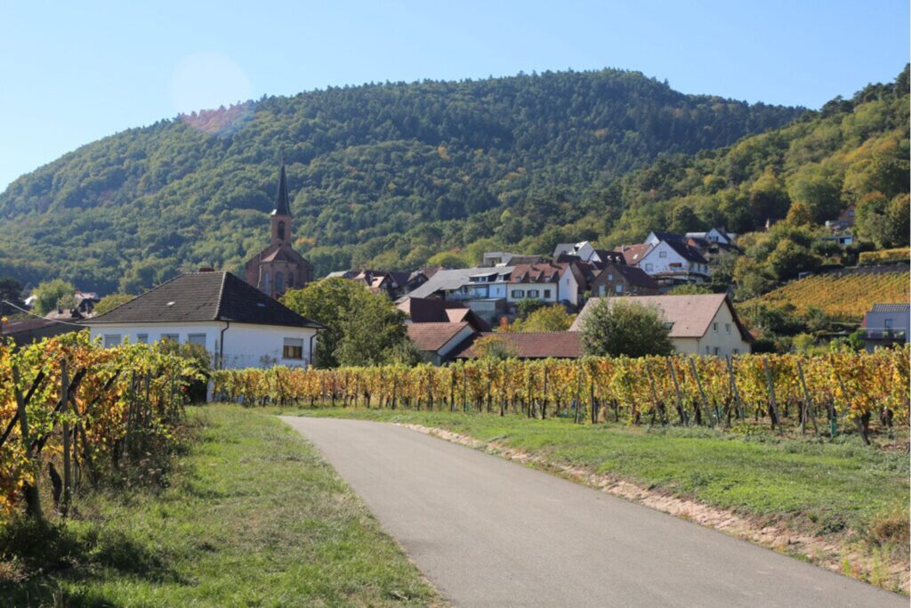 Underrated Wine Destinations in Europe- Alsace Wine Route