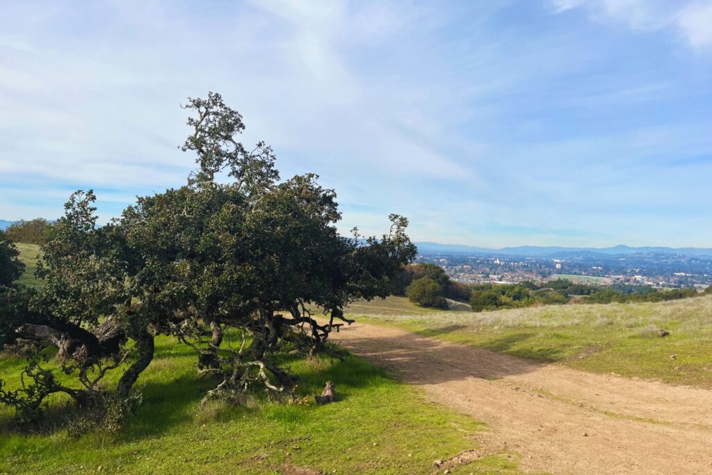 hiking in Sonoma