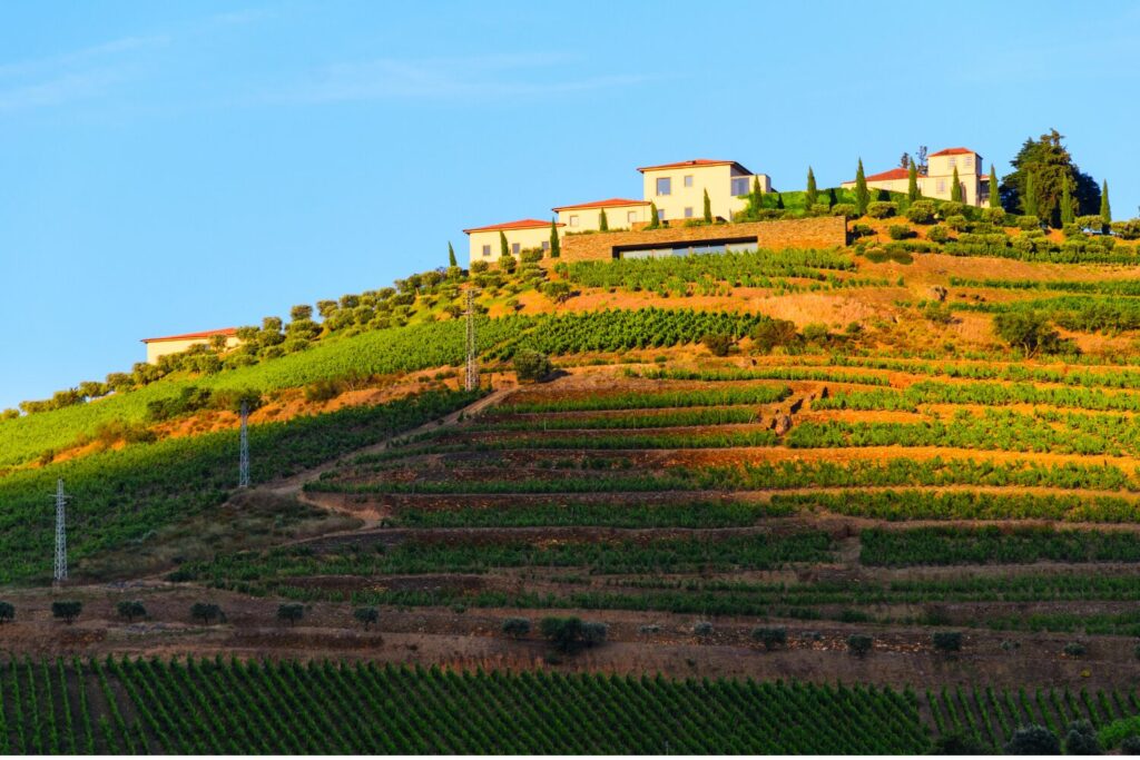 winery in Douro Valley