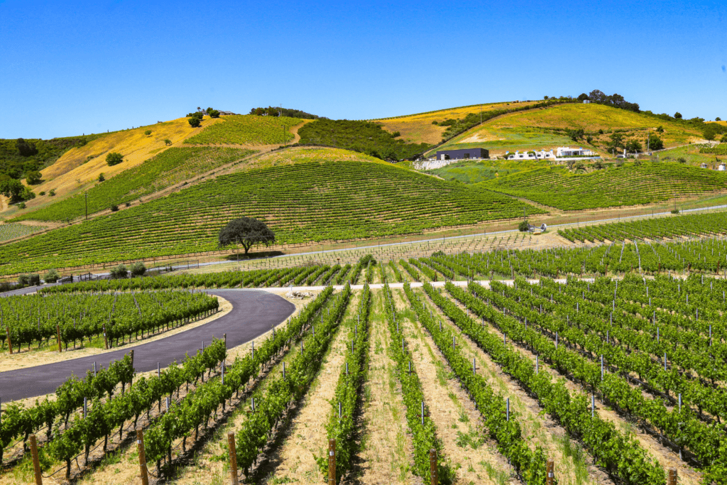 Paso Robles California Wine Region. 