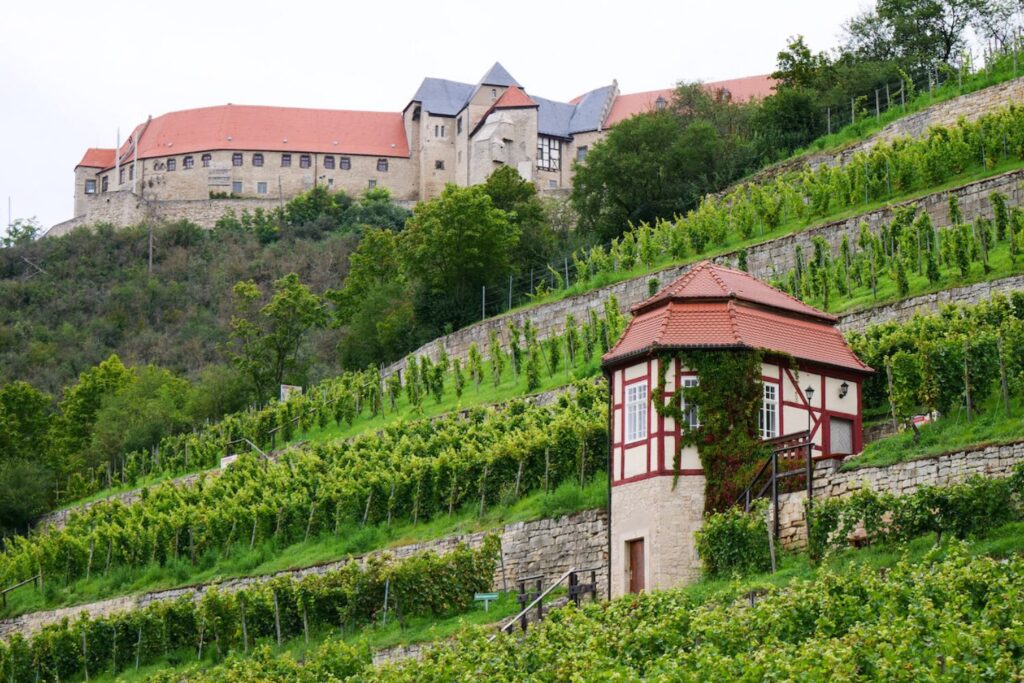 Underrated Wine Destinations in Europe- Saale-Unstrut, Germany