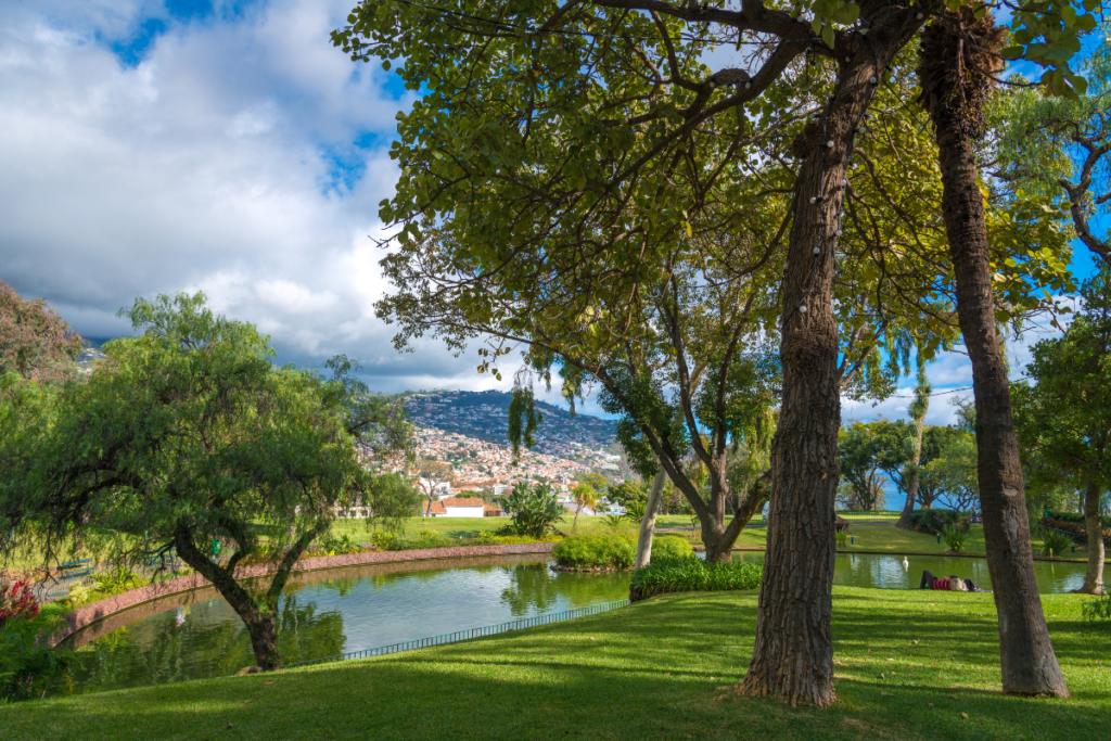 Park in Funchal, Madeira