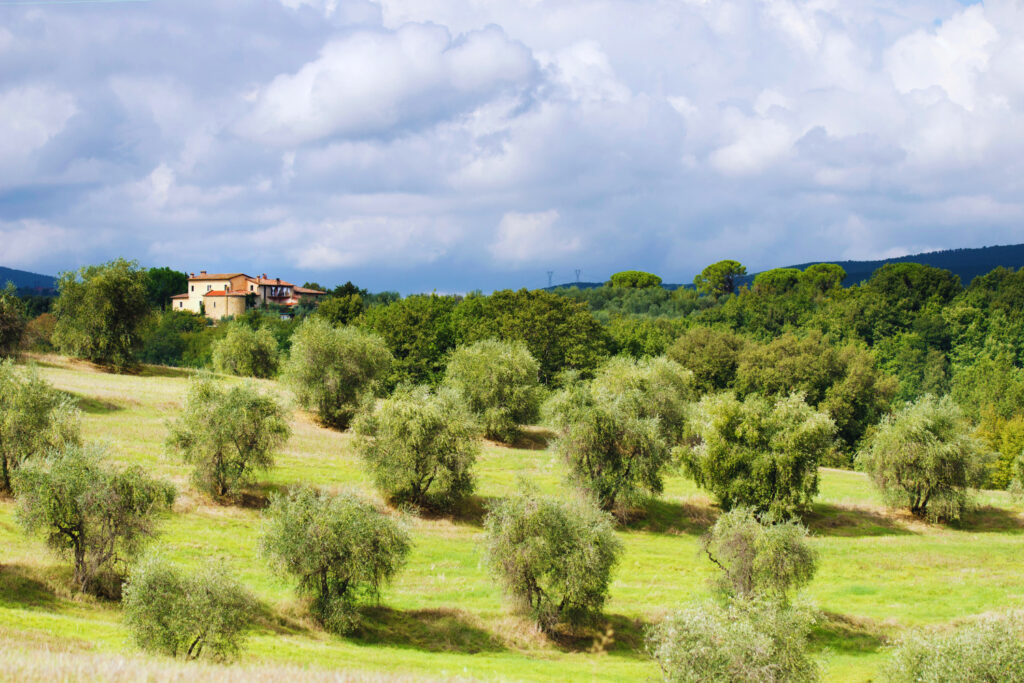 tuscany winery