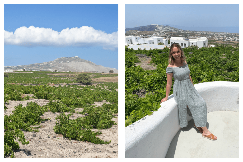 Wine Tasting in Santorini-girl posing for a picture.  