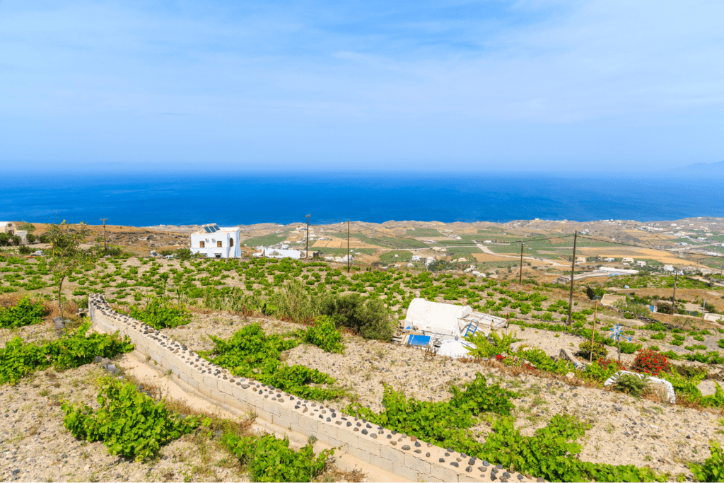 Wine Tasting in Santorini featured image. 