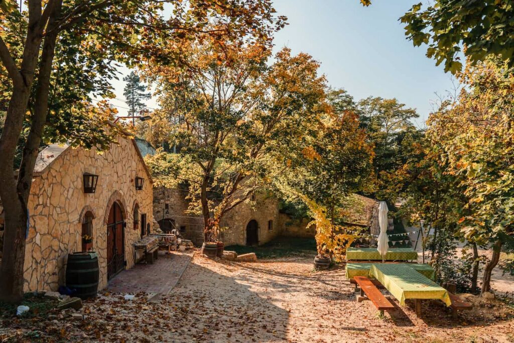 Underrated Wine Destinations in Europe- Hungary