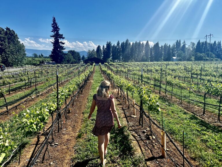 16 Best Wineries Near Hood River Worth the Visit!