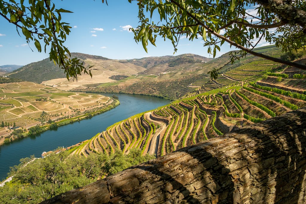 Landscape Photography of Douro Valley wine region