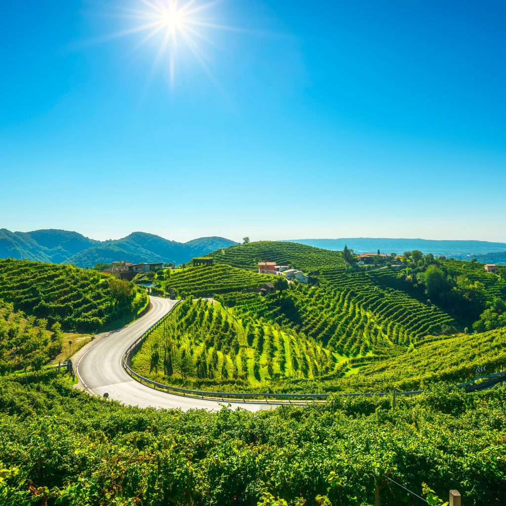 Green vineyards and rolling hills in the Veneto wine region. 